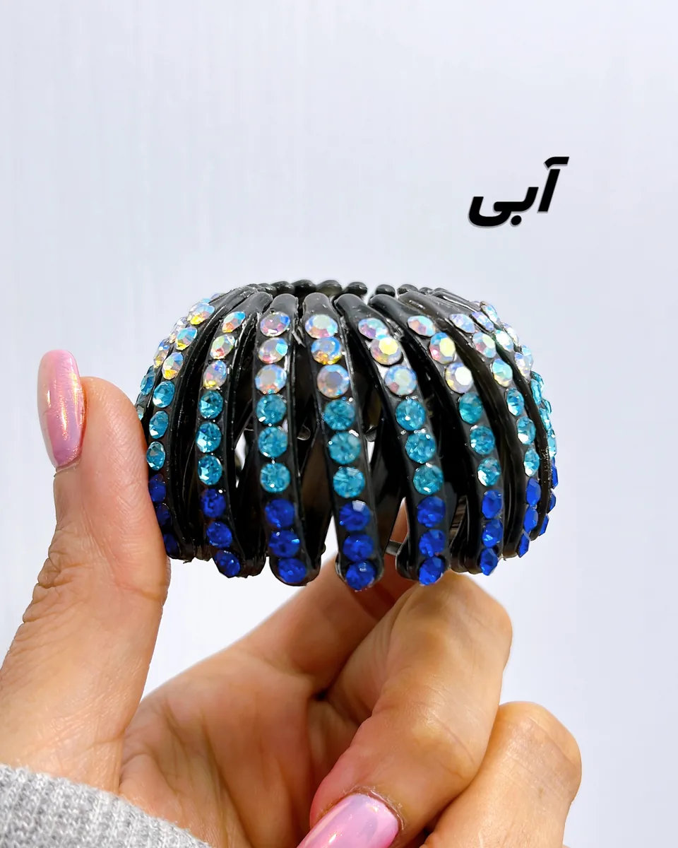 کلیپس چنگکی نگینی